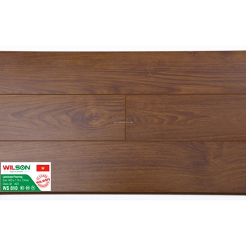 WS810- Sàn Gỗ Công Nghiệp Wilson (Wilson 12ly)