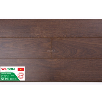 WS813- Sàn Gỗ Công Nghiệp Wilson (Wilson 12ly)