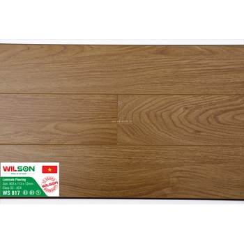WS817- Sàn Gỗ Công Nghiệp Wilson (Wilson 12ly)