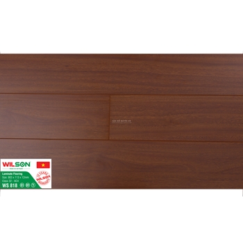 WS818- Sàn Gỗ Công Nghiệp Wilson (Wilson 12ly)